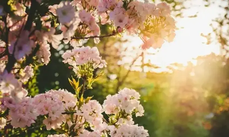 Слънчево и топло време днес - Tribune.bg