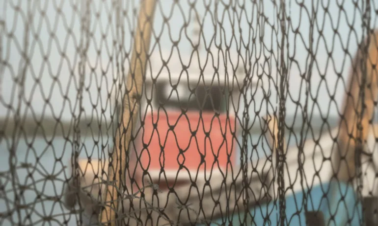 След ударите в Черно море: Уловът на риба спадна наполовина - Tribune.bg