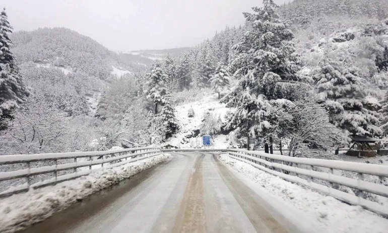 Усложнява се обстановката в Североизточна България, магистралите са проходими - Tribune.bg