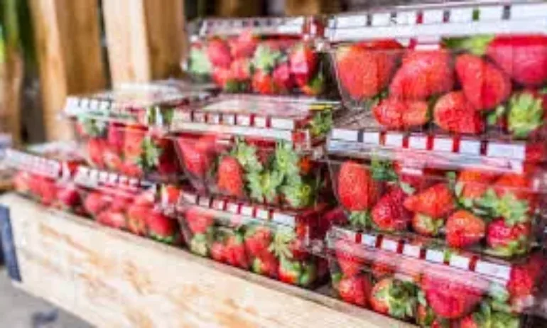 Край на пластмасовите кутии за плодове: ЕС променя правилата за опаковките - Tribune.bg