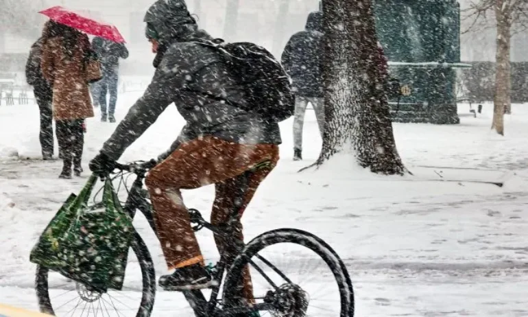 София: Сериозни затруднения в градския транспорт и организацията на зимното почистване - Tribune.bg