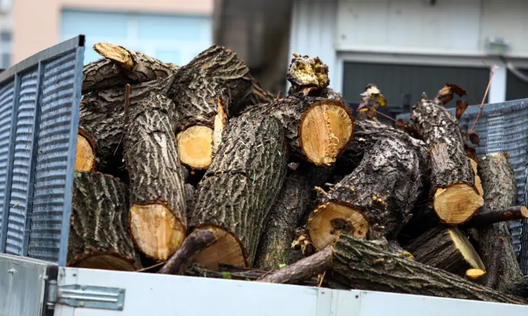 Около 327 000 хора и семейства ще получат помощи за отопление - Tribune.bg