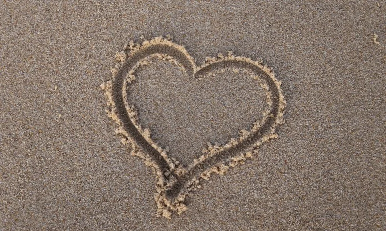 Живо гадаене - Tribune.bg