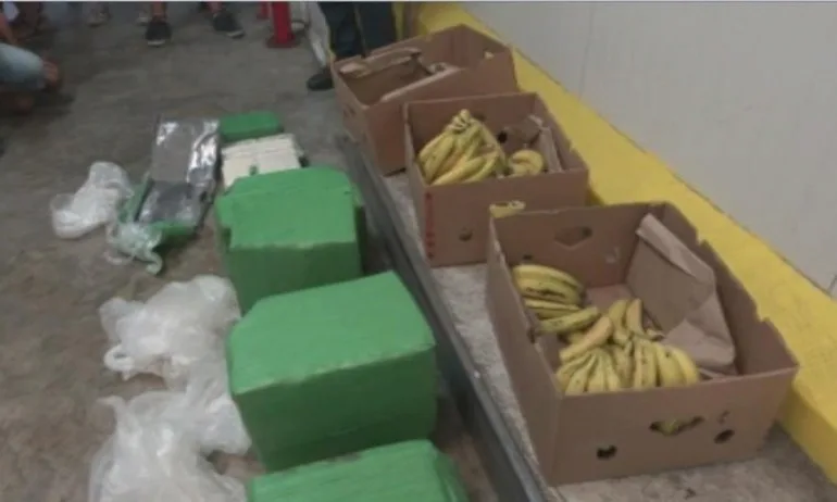 Обискират всички складове в страната на фирмата-получател на бананите с кокаин - Tribune.bg