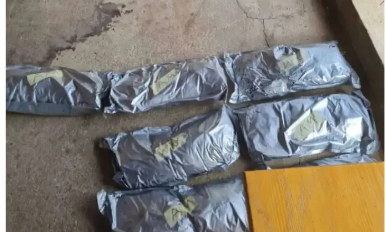 Марихуана за над половин милион лева се оказа скрита в кучешка колиба край Русе - Tribune.bg