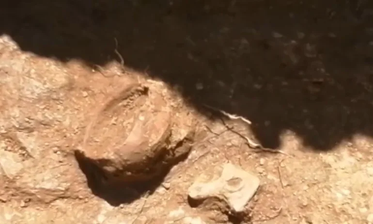 Древен гроб с ритуални съдове открит в Хераклея Синтика – без следи от човешки останки - Tribune.bg