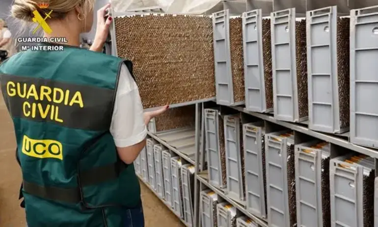 ДАНС и испанските служби разбиха международна група за контрабанда, задържани са 15 българи - Tribune.bg