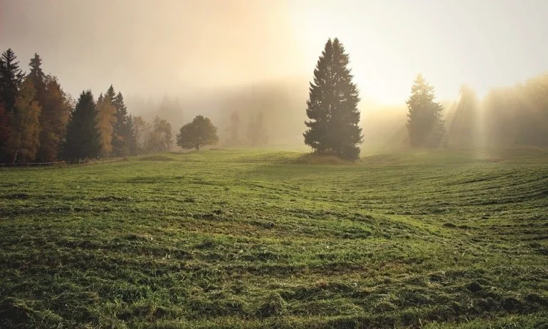 Познайте единството, защото в света няма разделение и всеки е отговорен за всеки - Tribune.bg
