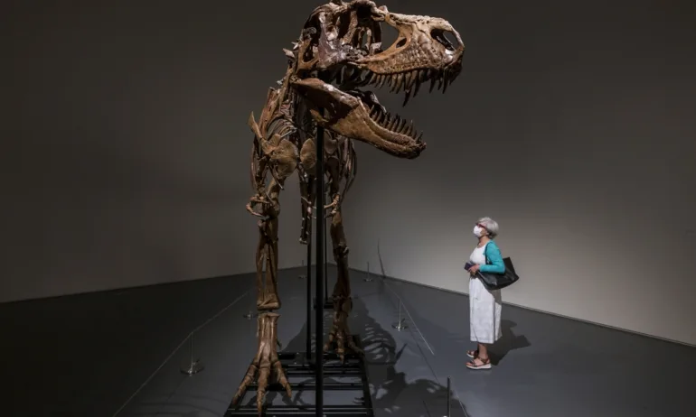 Продадоха на търг рядък скелет на динозавър за 6 млн. долара - Tribune.bg