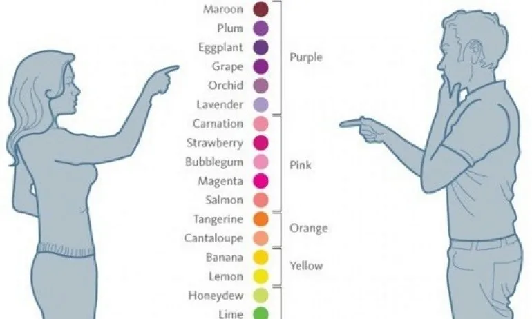 Защо мъжете и жените виждат света различно? - Tribune.bg