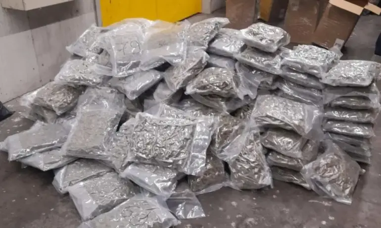 Голям удар: Марихуана за 2 млн. лв. задържаха на ГКПП Капитан Андреево - Tribune.bg