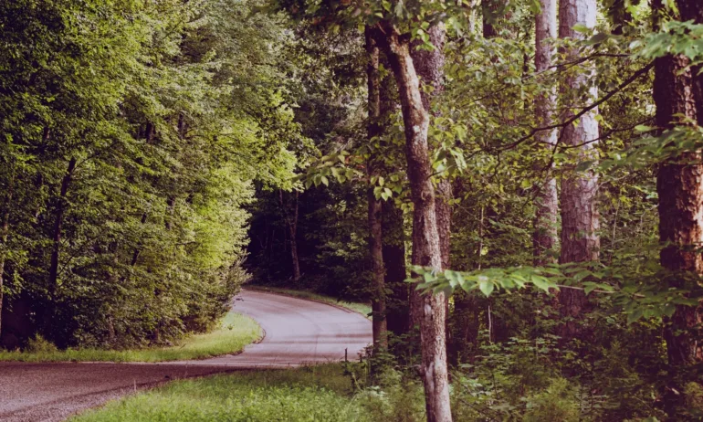 Тайните знаци на пътя и какво ти казват те - Tribune.bg