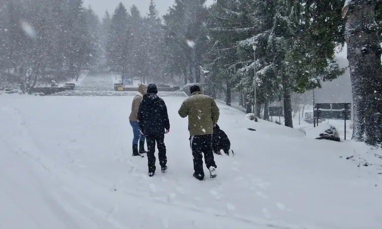 Ураганен вятър и червен код за снеговалеж в 4 области в неделя - Tribune.bg