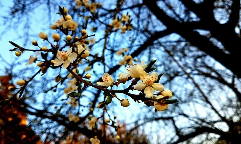 Две минути преди полунощ – настъпва астрономическата пролет - Tribune.bg