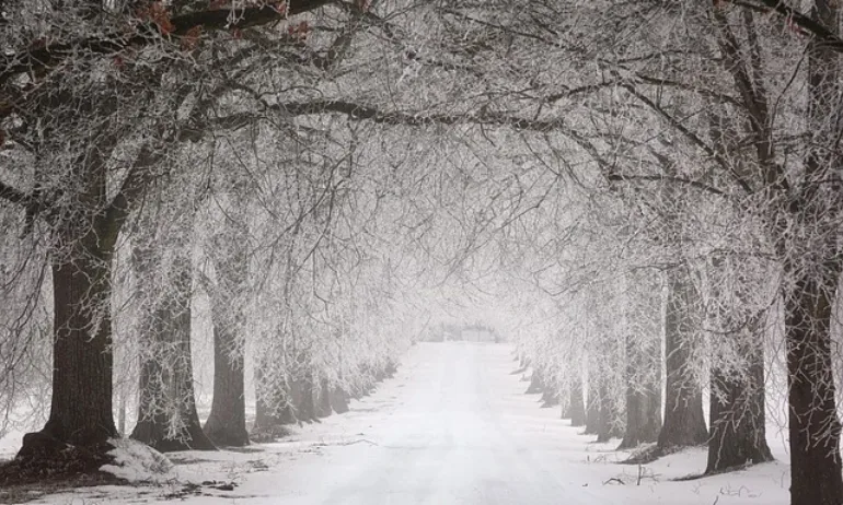 Жълт код за студено време в почти цялата страна - Tribune.bg