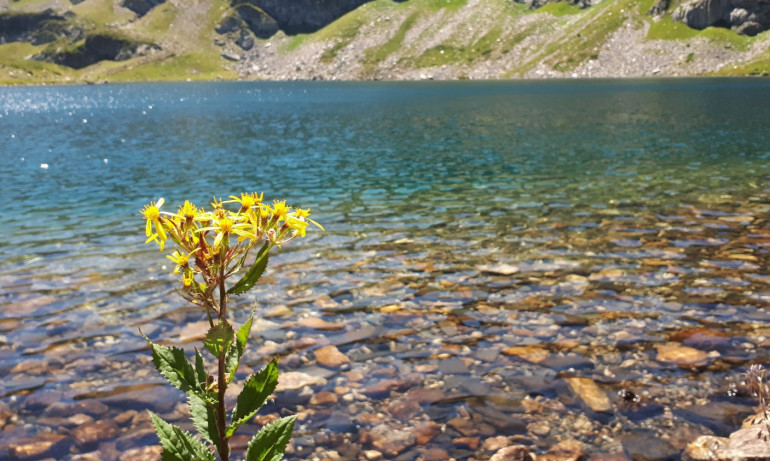 Гореща събота с възможност за валежи и гръмотевици - Tribune.bg