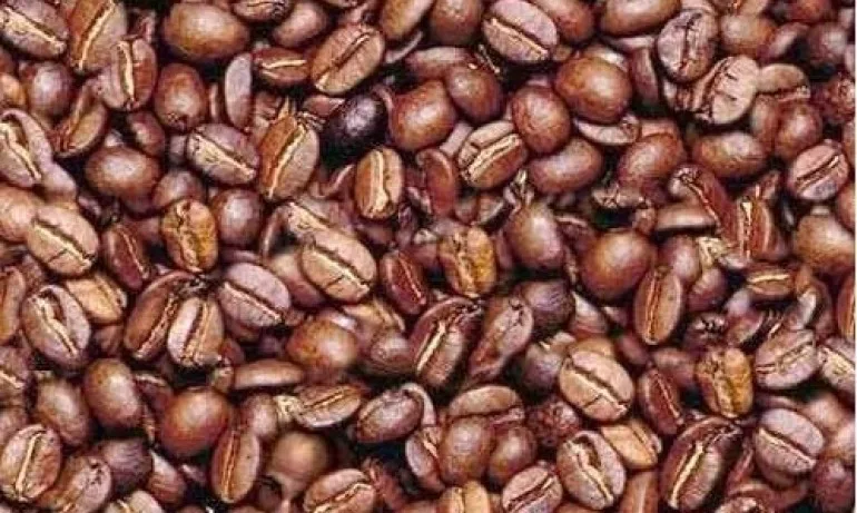 Тест – Открийте лицето - Tribune.bg