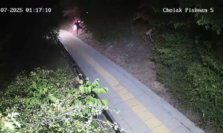 Оставиха в ареста 33-годишния Стоян Денчев, който подпали Велико Търново в разгара на пожарите - Tribune.bg