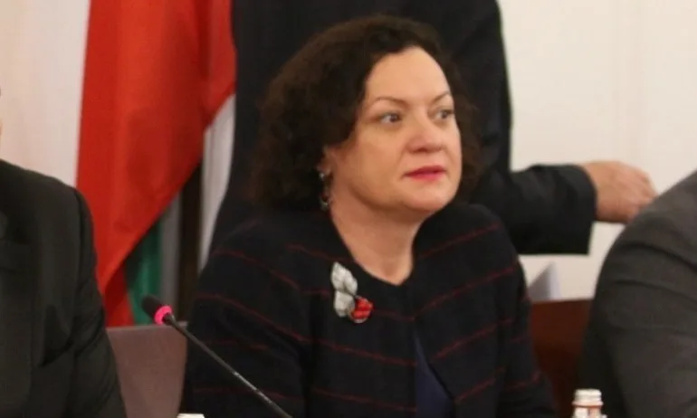 Ивелина Василева: Средно в Европа се изгарят 28% от отпадъците, у нас са 3,5% - Tribune.bg