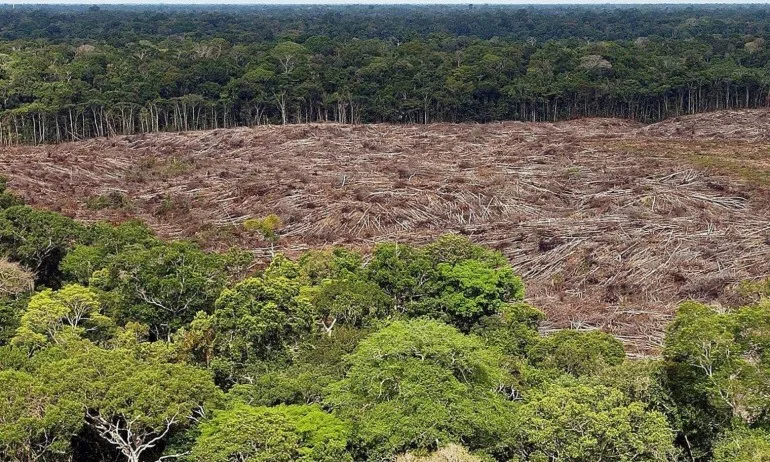 Амазонка е в пламъци, горят белите дробове на Земята - Tribune.bg