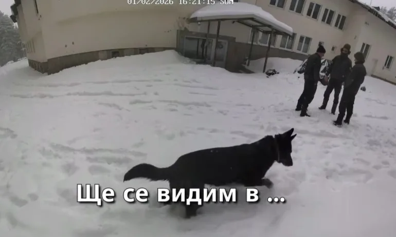 Случаят Петрохан: Няма следи от борба, 15-годишният Алекс бил на колене и със сплетени пръсти - Tribune.bg