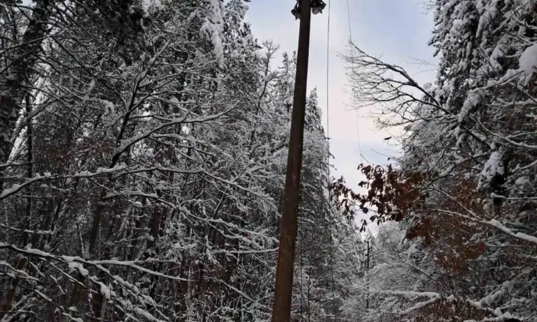ЕРМ Запад: Възстановено е електрозахранването на 99% от засегнатите от снега потребители - Tribune.bg