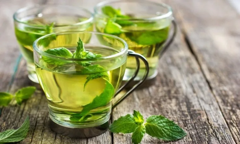 При какви здравословни проблеми помага ментата? - Tribune.bg