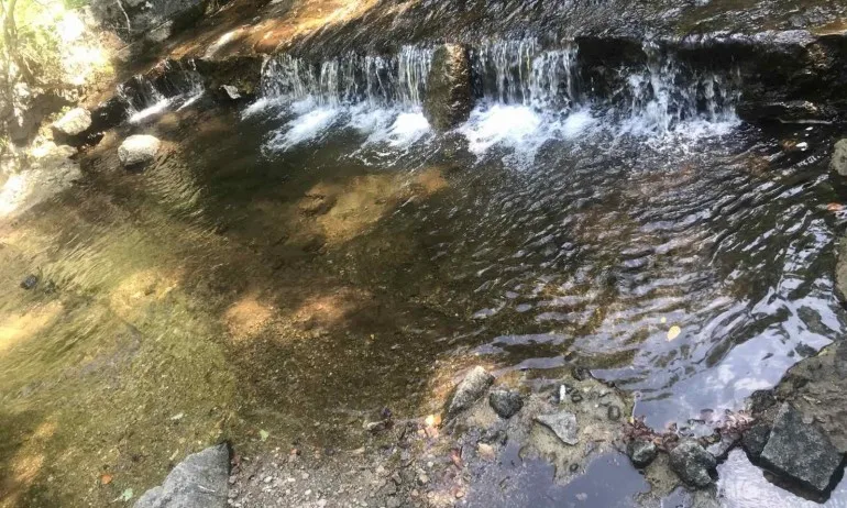 Дете се удави в напоителен канал край Пловдив - Tribune.bg