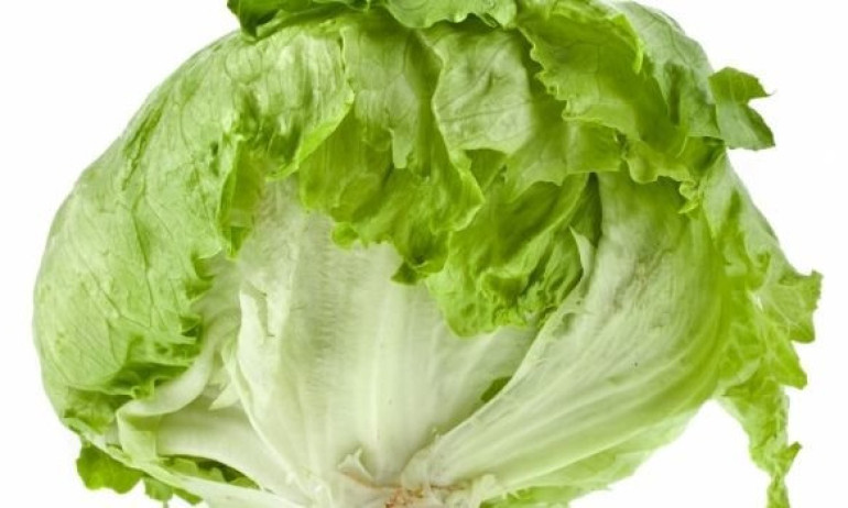 Клиентите на KFC в Австралия стягат протести, защото веригата смени салатата Айсберг със зеле - Tribune.bg