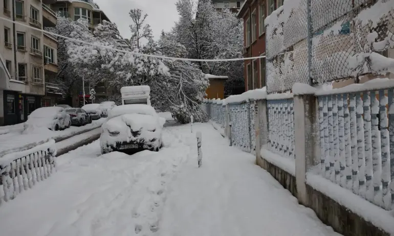 Заради снега: Учениците от над 280 училища в 13 области няма да учат в понеделник - Tribune.bg