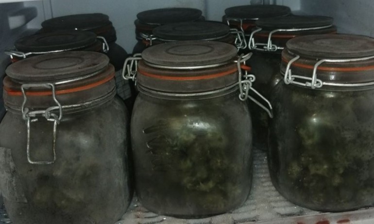 Задържаха кандидат-депутат, отглеждал и пресовал канабис - Tribune.bg