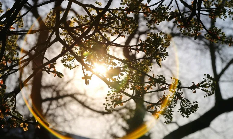 Започва затопляне, валежите спират - Tribune.bg