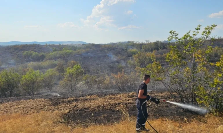 Голям пожар избухна край Българово, евакуират живущите на юг от града - Tribune.bg