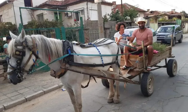 Цонева от ДБ агитира в ромската махала от каруца (СНИМКИ) - Tribune.bg