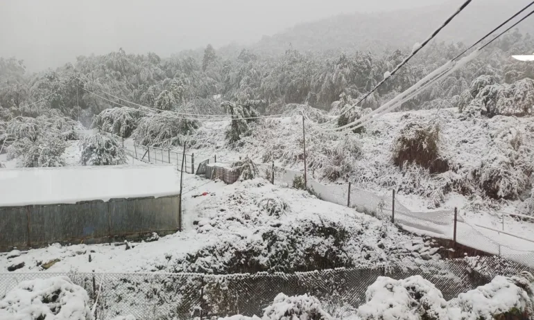 Берковица и селата в общината останаха без ток - Tribune.bg