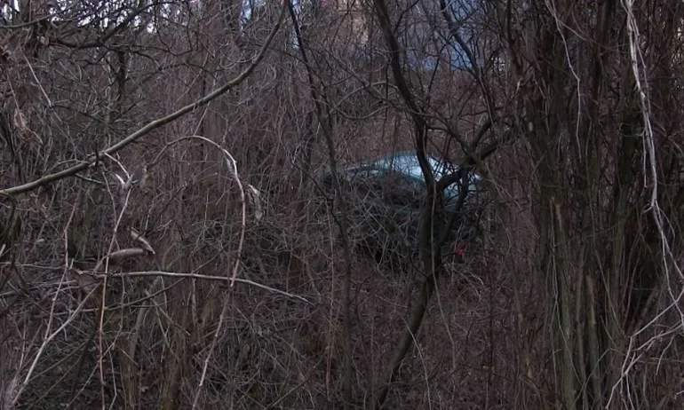 Чудо – 2-годишно оцеля след падане с кола в дере - Tribune.bg