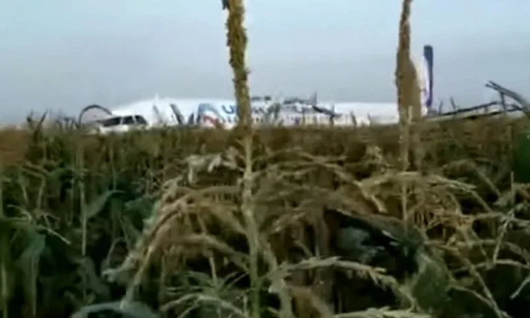 Чайки свалиха самолет с 234 души на борда, кацна в нива (ВИДЕО) - Tribune.bg