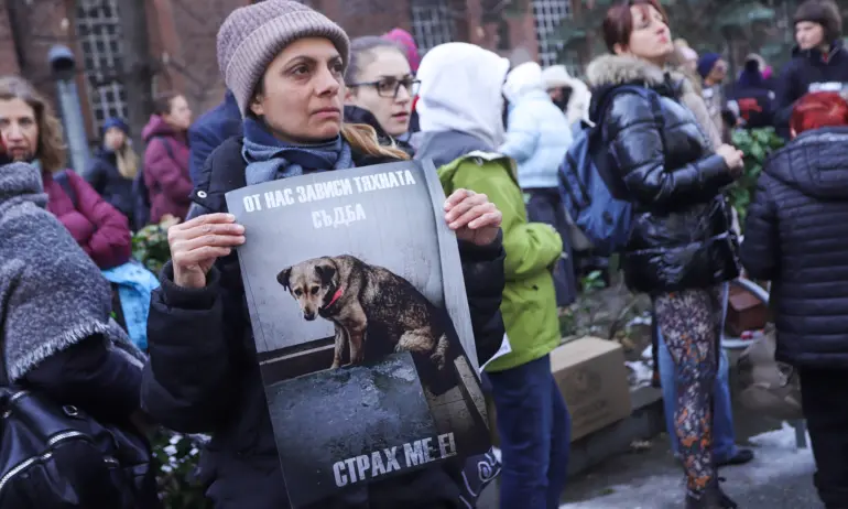 Протест пред СО с искания за оставки и по-добри условия за бездомните животни в клиника Връбница - Tribune.bg