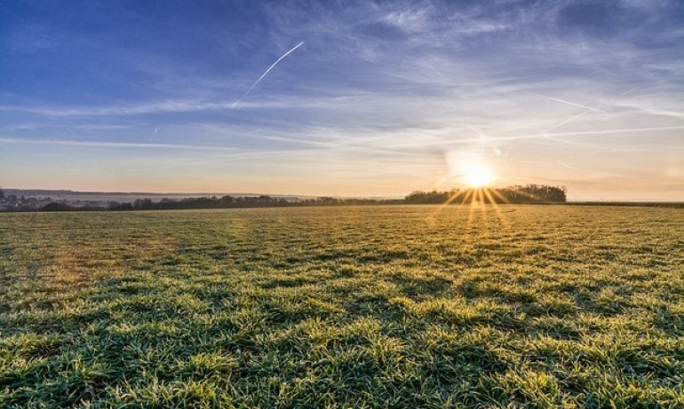 Януари ни изненадва с високи температури до 14 градуса - Tribune.bg