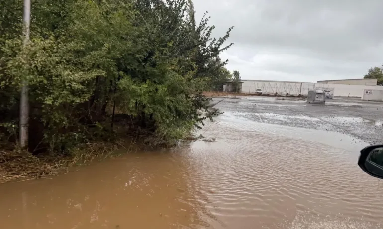 Задържаха двама крадци в курорта Елените - Tribune.bg