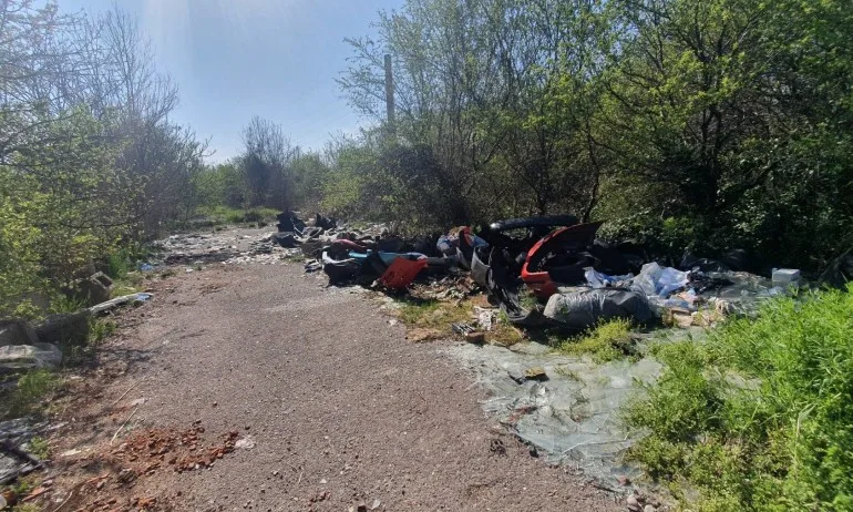 Пролетно почистване: 5000 тона отпадъци и 22 заличени сметища в столицата - Tribune.bg
