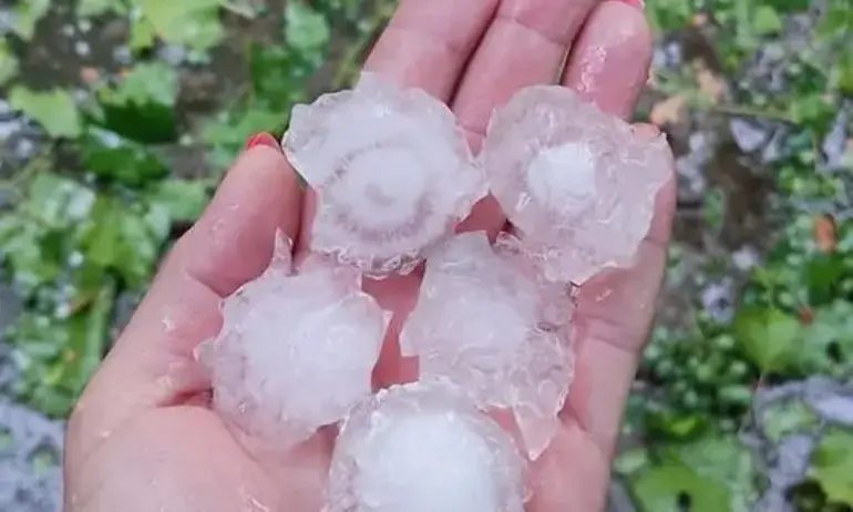 След екстремните жеги: Градушка падна в райони на Северозападна България (ВИДЕО) - Tribune.bg