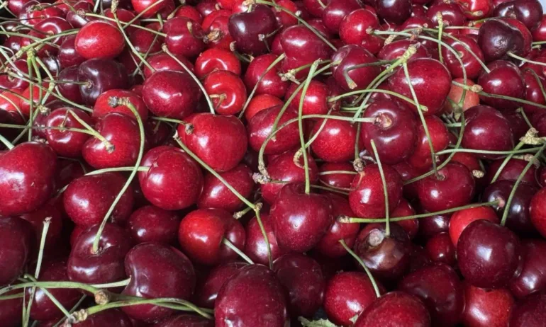 Черешите продължават да поскъпват на борсите - Tribune.bg