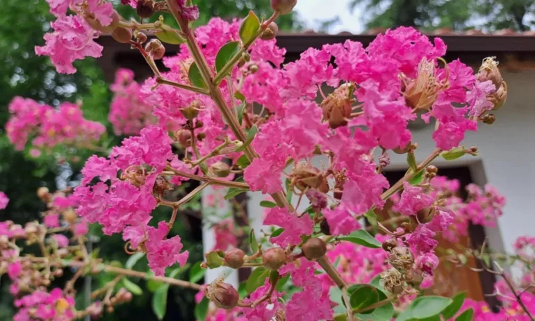 До 28 градуса днес, но от понеделник идва рязко застудяване - Tribune.bg