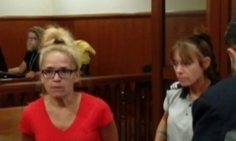 Зимни неволи: Иванчева иска навес за сняг от Цецка Цачева - Tribune.bg