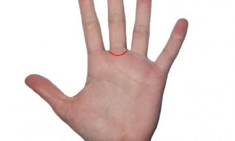 Пръстенът на Сатурн - Tribune.bg