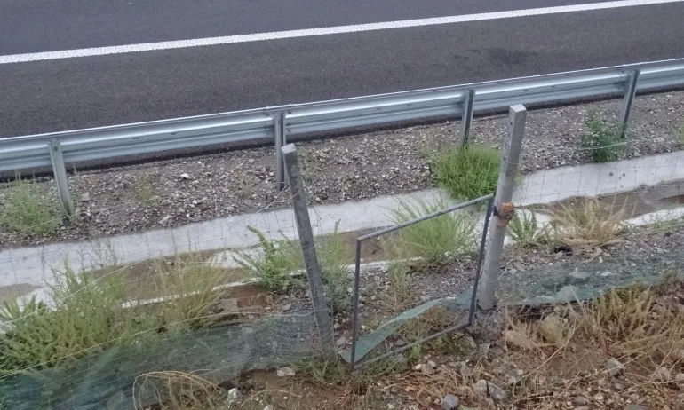 Мъж по чаршаф се разходи по АМ Струма край Благоевград - Tribune.bg