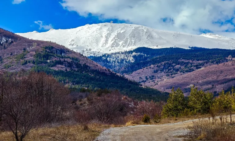 Слънчево с температури до 12 градуса в петък - Tribune.bg