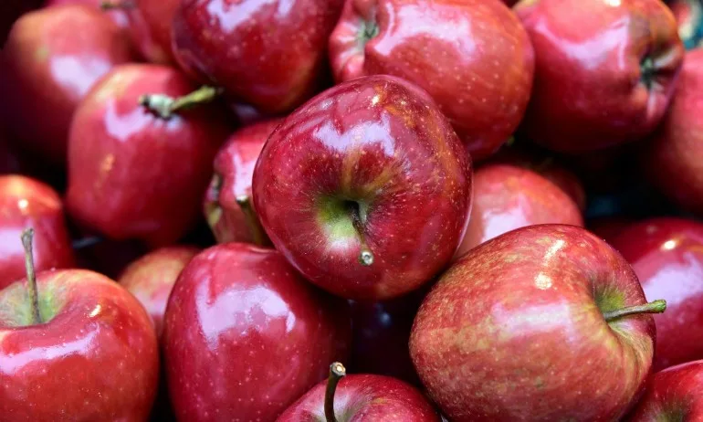 Червените ябълки изчезват заради климатичните промени - Tribune.bg