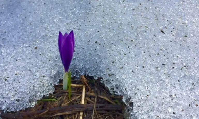 Зимата се завърна с рязко захлаждане и жълт код в 21 области - Tribune.bg